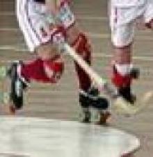 Selec�ões Nacionais / Est�gio Associativo � Convocat�ria Detec�ão de Talentos