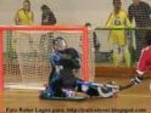 Selec��o de S�o Miguel - H�quei em Patins ( Infantis / Iniciados )